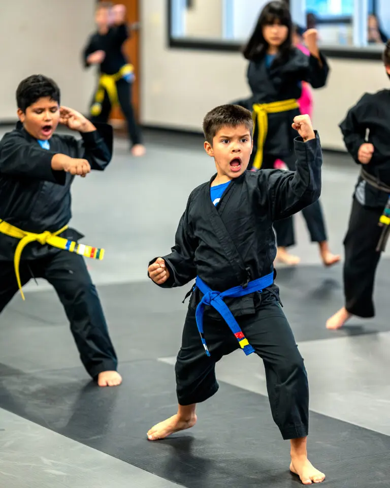 Kids Karate class In Pflugerville - At Rise Martial arts