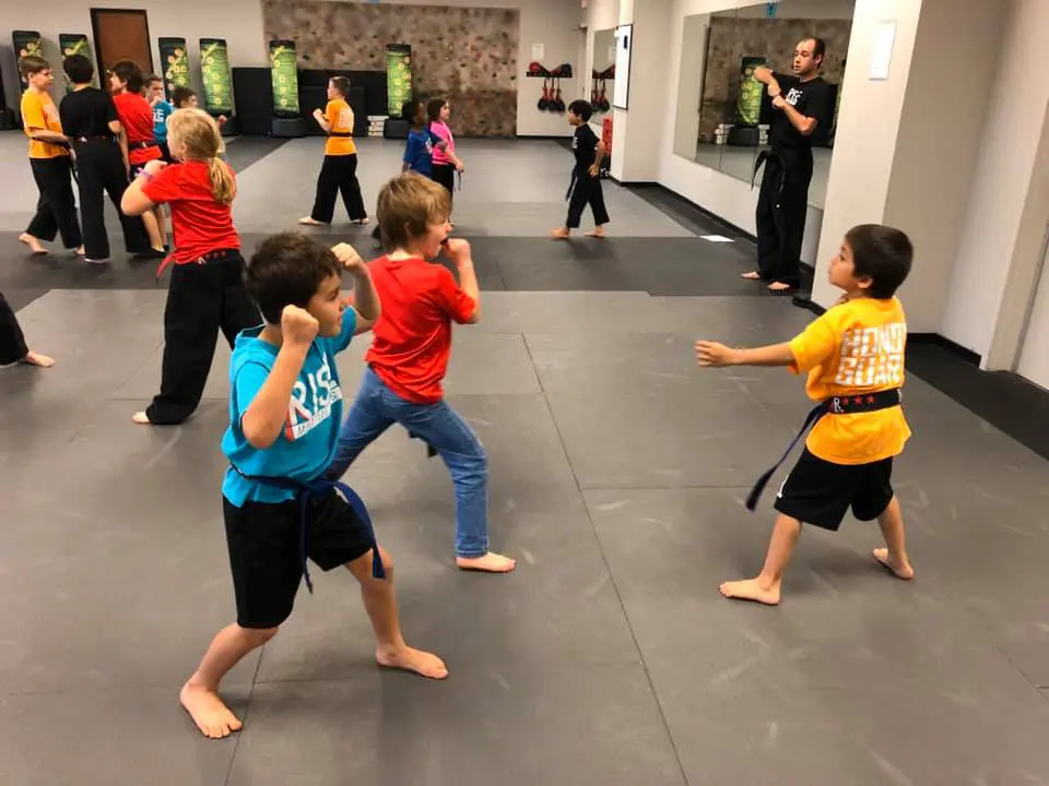 Martial Arts Class After School Program